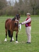 Image 73 in ADVENTURE RIDING CLUB SPRING SHOW 19 APRIL 2015