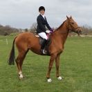 Image 9 in ADVENTURE RIDING CLUB SPRING SHOW 19 APRIL 2015