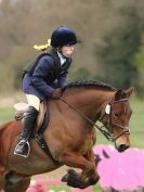 Image 12 in ADVENTURE RIDING CLUB SPRING SHOW. THE SHOW JUMPING 19 APRIL 2015