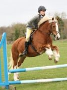 Image 18 in ADVENTURE RIDING CLUB SPRING SHOW. THE SHOW JUMPING 19 APRIL 2015