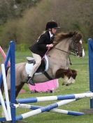 Image 24 in ADVENTURE RIDING CLUB SPRING SHOW. THE SHOW JUMPING 19 APRIL 2015