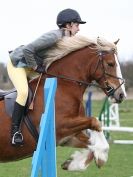 Image 29 in ADVENTURE RIDING CLUB SPRING SHOW. THE SHOW JUMPING 19 APRIL 2015
