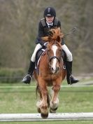 Image 31 in ADVENTURE RIDING CLUB SPRING SHOW. THE SHOW JUMPING 19 APRIL 2015