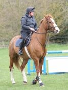 Image 59 in ADVENTURE RIDING CLUB SPRING SHOW. THE SHOW JUMPING 19 APRIL 2015