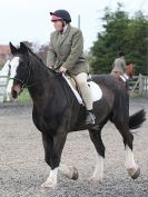 Image 11 in  A FEW FROM BROADS TODAY ( 25 APRIL 2015 ) DRESSAGE PREPARATION.