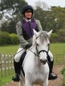 Image 17 in A FEW FROM BROADS TODAY ( 25 APRIL 2015 ) DRESSAGE PREPARATION.