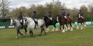 N & J HEAVY HORSES. ( SHIPMEADOW  BECCLES ) DISPLAYING AT EAST ANGLIA GAME & COUNTRY FAIR  2015