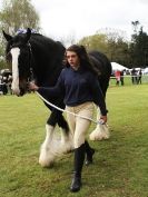 Image 12 in N & J HEAVY HORSES. ( SHIPMEADOW BECCLES ) DISPLAYING AT EAST ANGLIA GAME & COUNTRY FAIR 2015