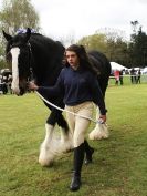 Image 12 in N & J HEAVY HORSES. ( SHIPMEADOW  BECCLES ) DISPLAYING AT EAST ANGLIA GAME & COUNTRY FAIR  2015