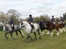 Image 18 in N & J HEAVY HORSES. ( SHIPMEADOW  BECCLES ) DISPLAYING AT EAST ANGLIA GAME & COUNTRY FAIR  2015