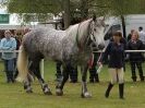 Image 19 in N & J HEAVY HORSES. ( SHIPMEADOW  BECCLES ) DISPLAYING AT EAST ANGLIA GAME & COUNTRY FAIR  2015