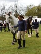 Image 20 in N & J HEAVY HORSES. ( SHIPMEADOW  BECCLES ) DISPLAYING AT EAST ANGLIA GAME & COUNTRY FAIR  2015