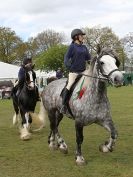 Image 29 in N & J HEAVY HORSES. ( SHIPMEADOW  BECCLES ) DISPLAYING AT EAST ANGLIA GAME & COUNTRY FAIR  2015