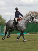 Image 37 in N & J HEAVY HORSES. ( SHIPMEADOW BECCLES ) DISPLAYING AT EAST ANGLIA GAME & COUNTRY FAIR 2015
