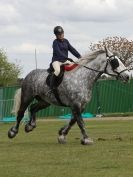 Image 37 in N & J HEAVY HORSES. ( SHIPMEADOW  BECCLES ) DISPLAYING AT EAST ANGLIA GAME & COUNTRY FAIR  2015