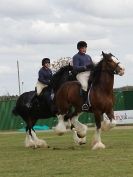 Image 38 in N & J HEAVY HORSES. ( SHIPMEADOW  BECCLES ) DISPLAYING AT EAST ANGLIA GAME & COUNTRY FAIR  2015