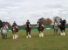 Image 44 in N & J HEAVY HORSES. ( SHIPMEADOW  BECCLES ) DISPLAYING AT EAST ANGLIA GAME & COUNTRY FAIR  2015