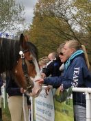 Image 46 in N & J HEAVY HORSES. ( SHIPMEADOW BECCLES ) DISPLAYING AT EAST ANGLIA GAME & COUNTRY FAIR 2015