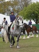 Image 51 in N & J HEAVY HORSES. ( SHIPMEADOW  BECCLES ) DISPLAYING AT EAST ANGLIA GAME & COUNTRY FAIR  2015