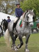 Image 52 in N & J HEAVY HORSES. ( SHIPMEADOW BECCLES ) DISPLAYING AT EAST ANGLIA GAME & COUNTRY FAIR 2015