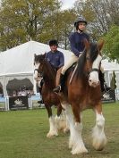 Image 57 in N & J HEAVY HORSES. ( SHIPMEADOW  BECCLES ) DISPLAYING AT EAST ANGLIA GAME & COUNTRY FAIR  2015
