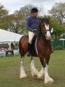 Image 58 in N & J HEAVY HORSES. ( SHIPMEADOW  BECCLES ) DISPLAYING AT EAST ANGLIA GAME & COUNTRY FAIR  2015