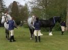 Image 62 in N & J HEAVY HORSES. ( SHIPMEADOW BECCLES ) DISPLAYING AT EAST ANGLIA GAME & COUNTRY FAIR 2015