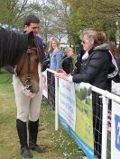 Image 64 in N & J HEAVY HORSES. ( SHIPMEADOW  BECCLES ) DISPLAYING AT EAST ANGLIA GAME & COUNTRY FAIR  2015