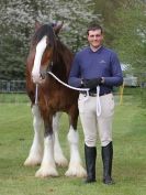 Image 65 in N & J HEAVY HORSES. ( SHIPMEADOW  BECCLES ) DISPLAYING AT EAST ANGLIA GAME & COUNTRY FAIR  2015