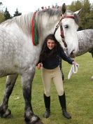 Image 67 in N & J HEAVY HORSES. ( SHIPMEADOW BECCLES ) DISPLAYING AT EAST ANGLIA GAME & COUNTRY FAIR 2015