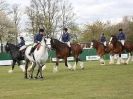 Image 71 in N & J HEAVY HORSES. ( SHIPMEADOW  BECCLES ) DISPLAYING AT EAST ANGLIA GAME & COUNTRY FAIR  2015