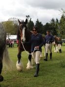 Image 9 in N & J HEAVY HORSES. ( SHIPMEADOW  BECCLES ) DISPLAYING AT EAST ANGLIA GAME & COUNTRY FAIR  2015