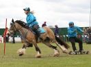 Image 12 in HORSE BOARDING. EA GAME & COUNTRY FAIR APRIL 2015