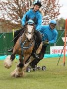Image 14 in HORSE BOARDING.  EA GAME & COUNTRY FAIR APRIL 2015