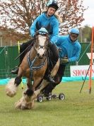 Image 14 in HORSE BOARDING. EA GAME & COUNTRY FAIR APRIL 2015
