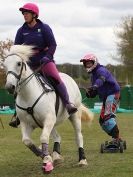 Image 15 in HORSE BOARDING.  EA GAME & COUNTRY FAIR APRIL 2015