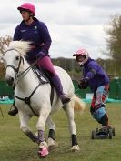 Image 15 in HORSE BOARDING. EA GAME & COUNTRY FAIR APRIL 2015
