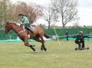 Image 16 in HORSE BOARDING.  EA GAME & COUNTRY FAIR APRIL 2015