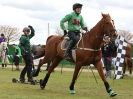Image 18 in HORSE BOARDING. EA GAME & COUNTRY FAIR APRIL 2015