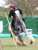Image 19 in HORSE BOARDING. EA GAME & COUNTRY FAIR APRIL 2015