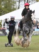 Image 2 in HORSE BOARDING. EA GAME & COUNTRY FAIR APRIL 2015