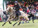 Image 22 in HORSE BOARDING.  EA GAME & COUNTRY FAIR APRIL 2015