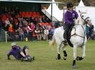 Image 23 in HORSE BOARDING. EA GAME & COUNTRY FAIR APRIL 2015