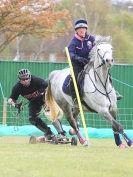 Image 25 in HORSE BOARDING. EA GAME & COUNTRY FAIR APRIL 2015