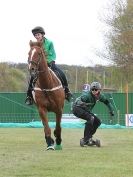 Image 26 in HORSE BOARDING. EA GAME & COUNTRY FAIR APRIL 2015