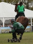 Image 27 in HORSE BOARDING. EA GAME & COUNTRY FAIR APRIL 2015