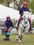 Image 28 in HORSE BOARDING. EA GAME & COUNTRY FAIR APRIL 2015