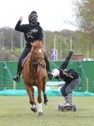 Image 29 in HORSE BOARDING. EA GAME & COUNTRY FAIR APRIL 2015