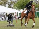 Image 30 in HORSE BOARDING.  EA GAME & COUNTRY FAIR APRIL 2015