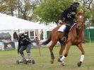 Image 30 in HORSE BOARDING. EA GAME & COUNTRY FAIR APRIL 2015